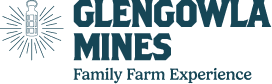 Glengowla Mines
