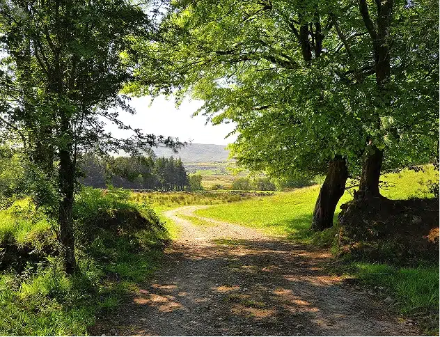 A Tribute to Heritage