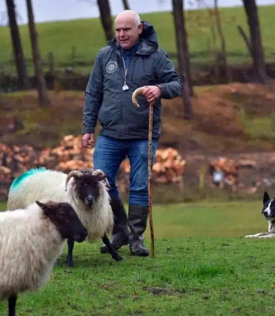 A man in a raincoat and wellies holds a shepherd’s crook, standing on grass with sheep nearby. A border collie lies on the ground, and there are trees and a woodpile in the background.