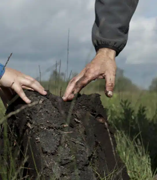 Two hands, one adult and one child, touch the surface of a weathered tree stump in a grassy outdoor setting under a cloudy sky.
