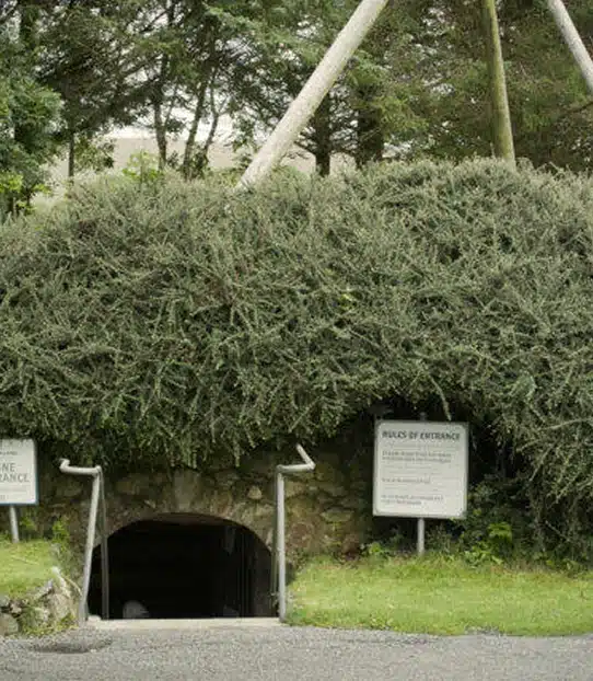 A stone entrance to an underground passage is partially hidden by dense green bushes. Two signs flank the entrance, and tall wooden poles extend above the shrubbery. Trees and greenery surround the area.